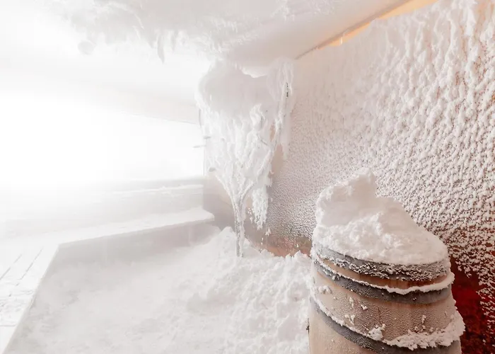 Castle Wellness & 3* Nyíregyháza